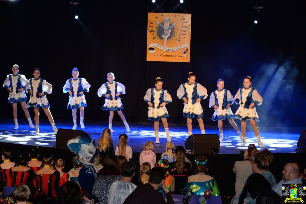 ../Images/Dansmarieke festival 2018 069.jpg